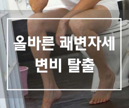  올바른 쾌변자세 '변비탈출'