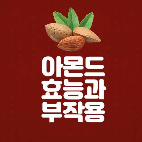  아몬드 효능과 부작용