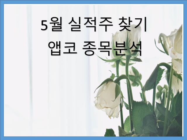  [주식]앱코[129890] 종목분석  5월 실적 기대감.