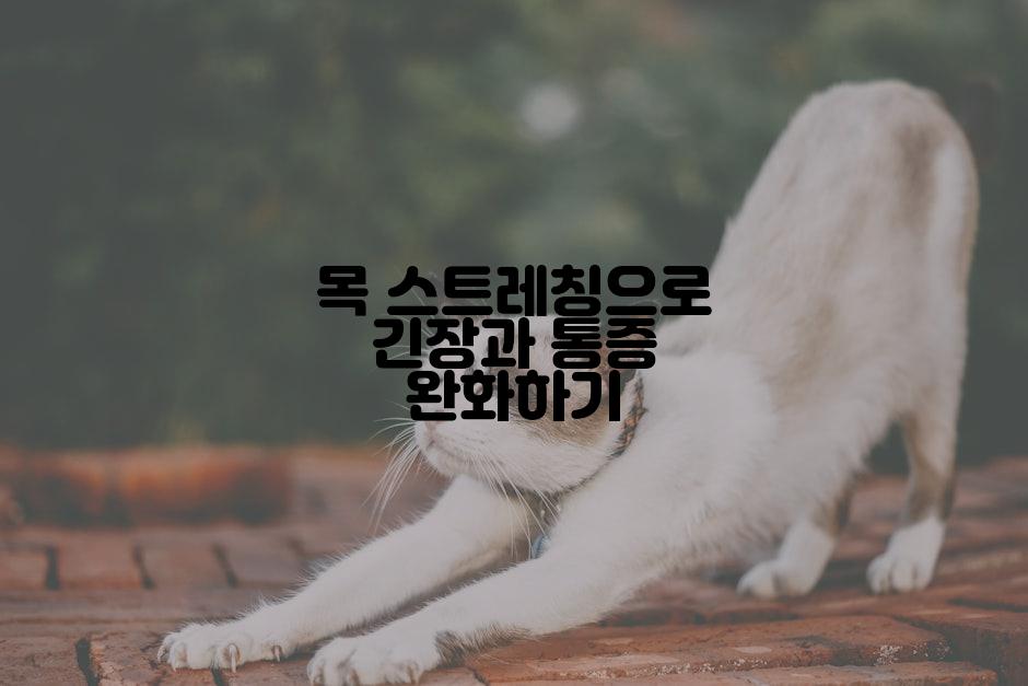목 스트레칭으로 긴장과 통증 완화하기