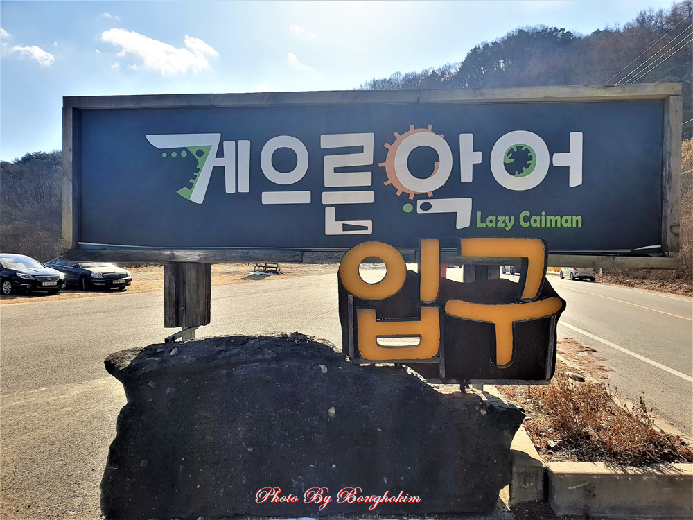  충주호 게으른악어 만나보세요