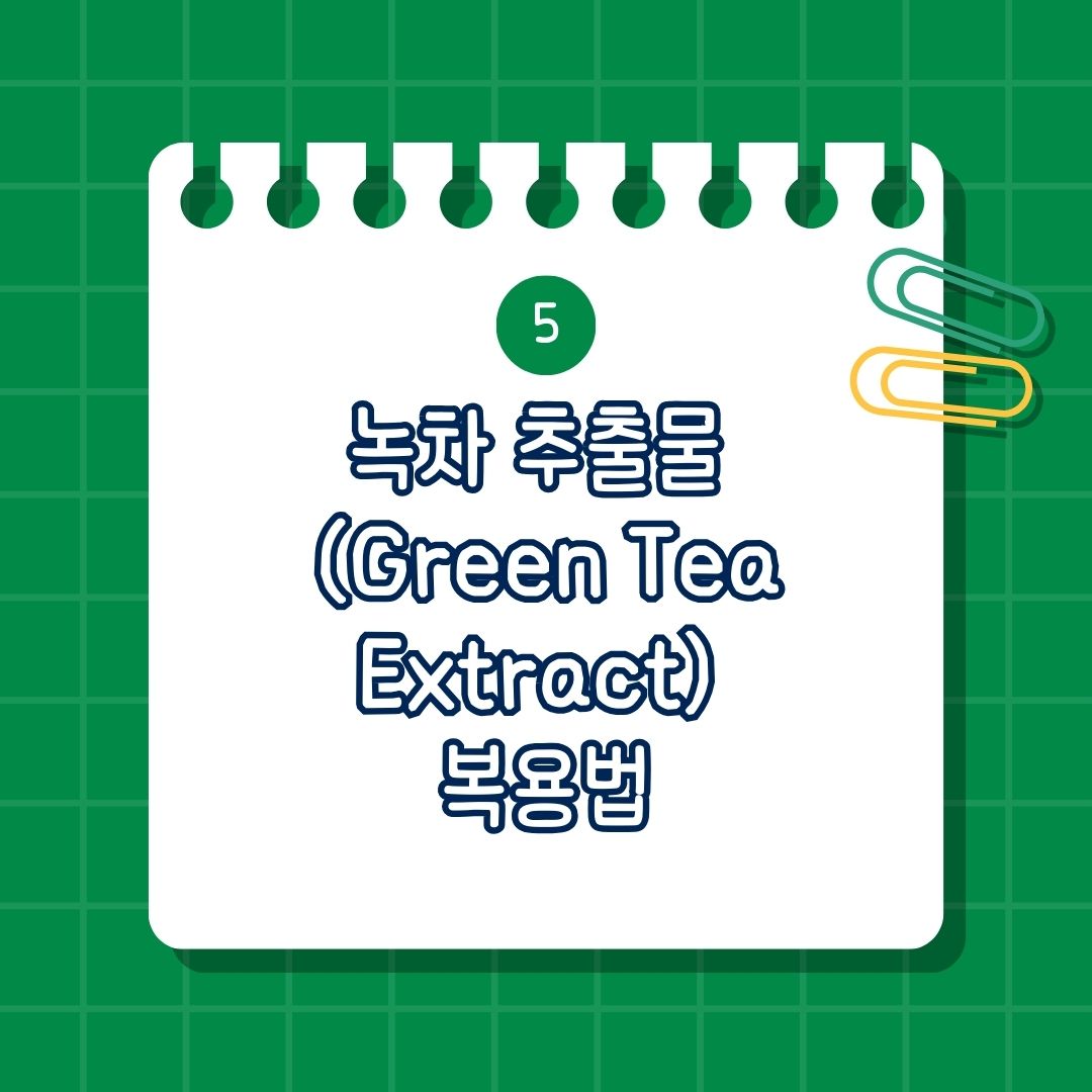 녹차 추출물 (Green Tea Extract) 복용법