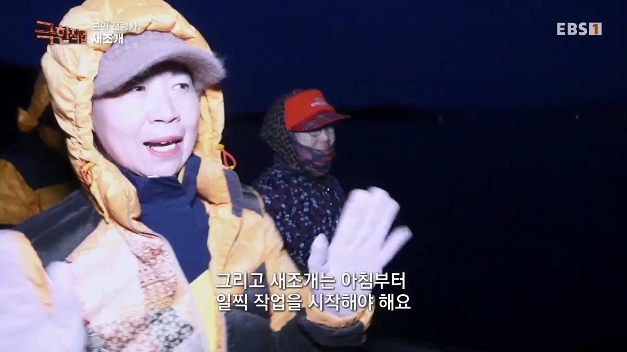 TV - 전 국민의 평생학교 EBS봄의 전령사! 새조개, 미나리, 주꾸미.mp4_20240316_171244.445.jpg