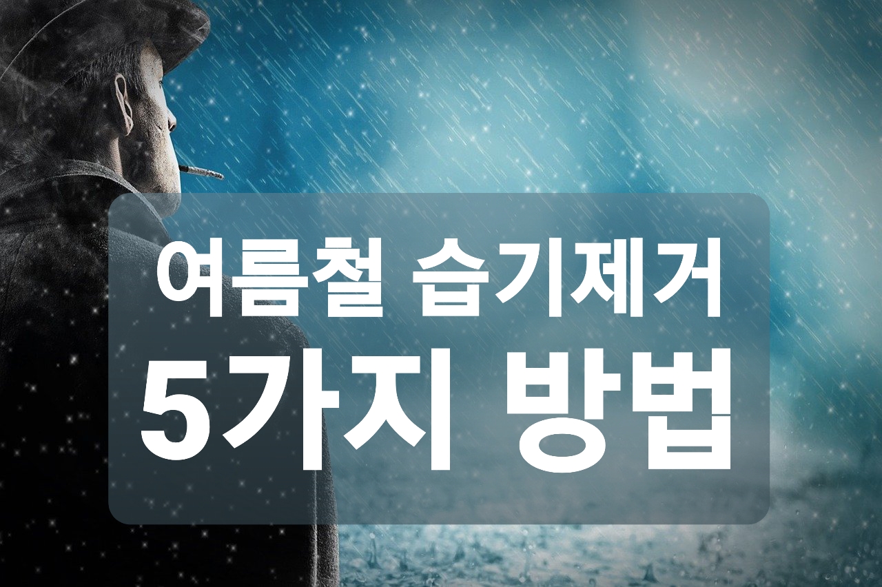  여름철 습기제거 방법 5가지에 대해 알아보자