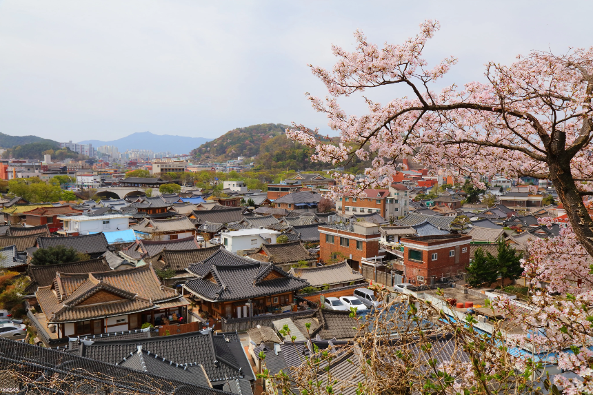 3월에 가볼 만한 국내 여행지 BEST 7 (봄꽃 명소 포함)