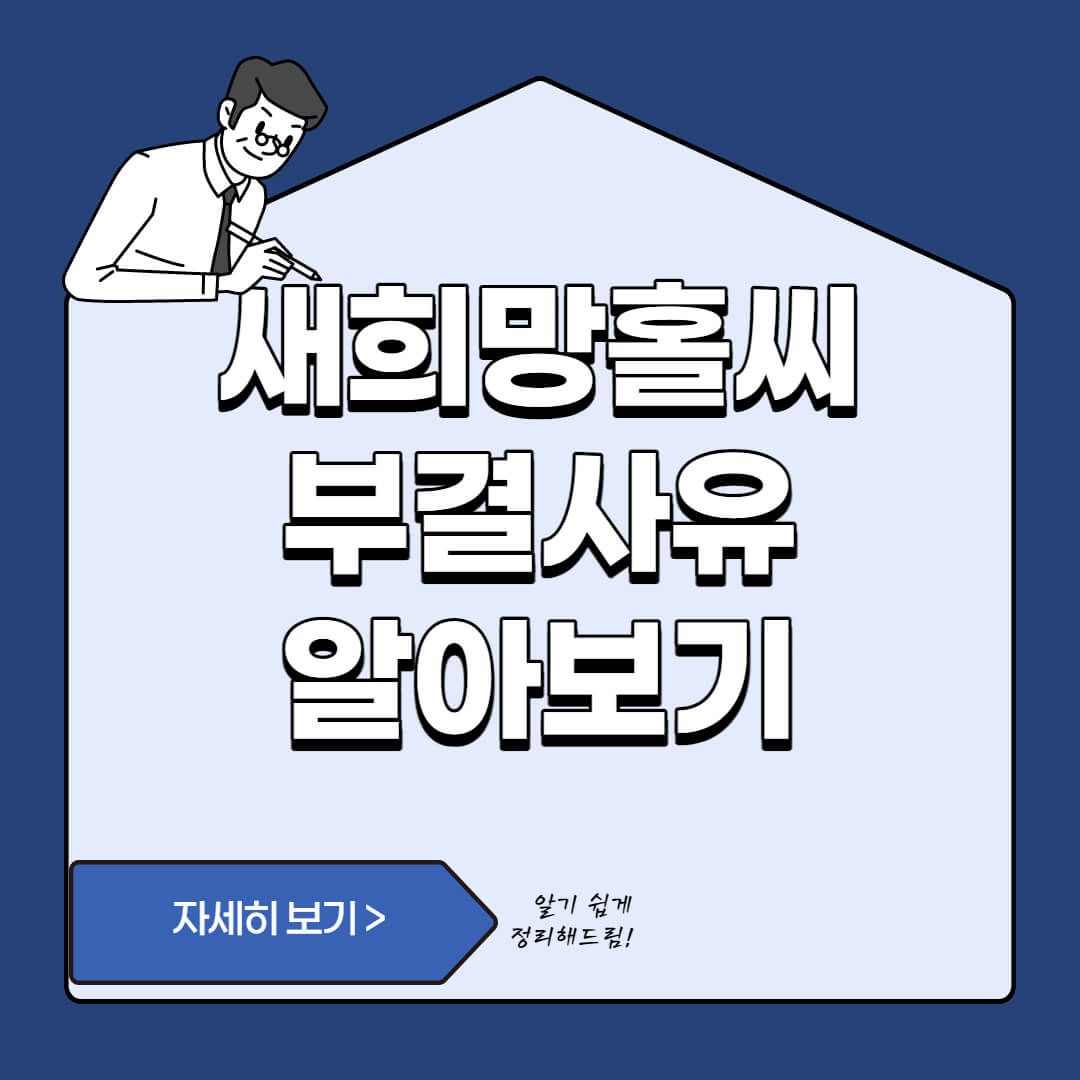  새희망홀씨 부결 사유와 해결책 - 신청전 필수 확인 사항