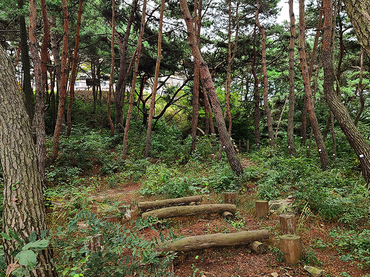 충남 걷기 좋은 숲길 국내여행 걷기 좋은 길, 52