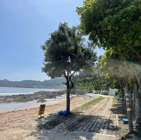 금갑해변