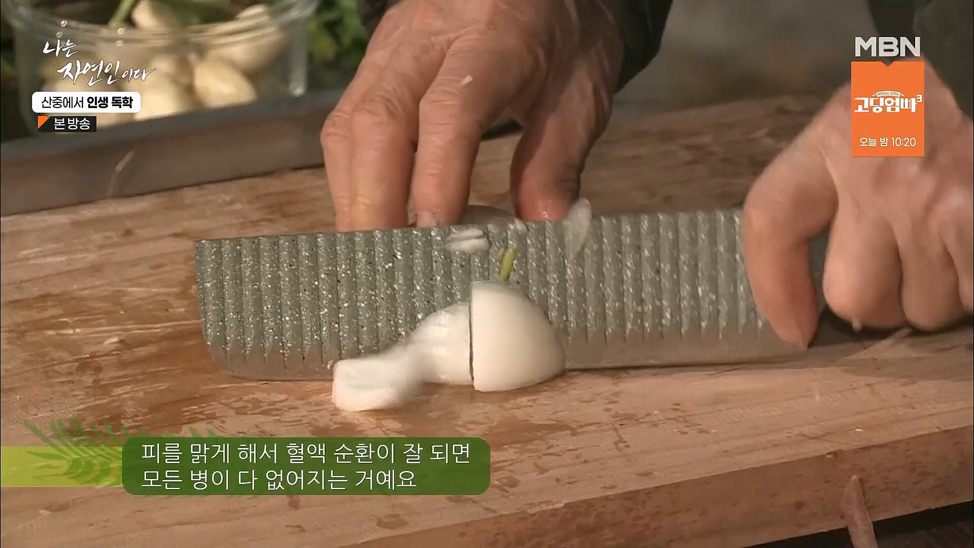 나는 자연인이다.E539.230201p.H264-F1RST.mp4_20230204_181750.058.jpg