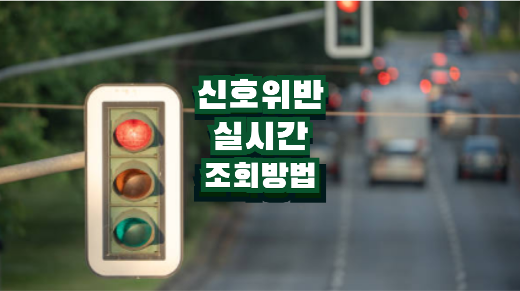 신호위반 실시간 조회