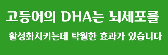 고등어의 DHA는 뇌세포를 활성화시키는데 탁월한 효과가 있습니다