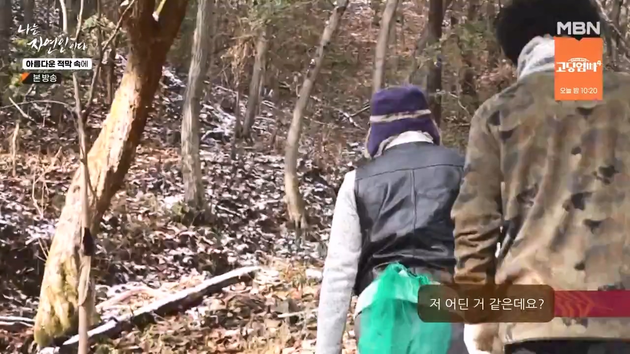 나는 자연인이다.E583.231207p-NEXT.mp4_20231207_195354.116.jpg