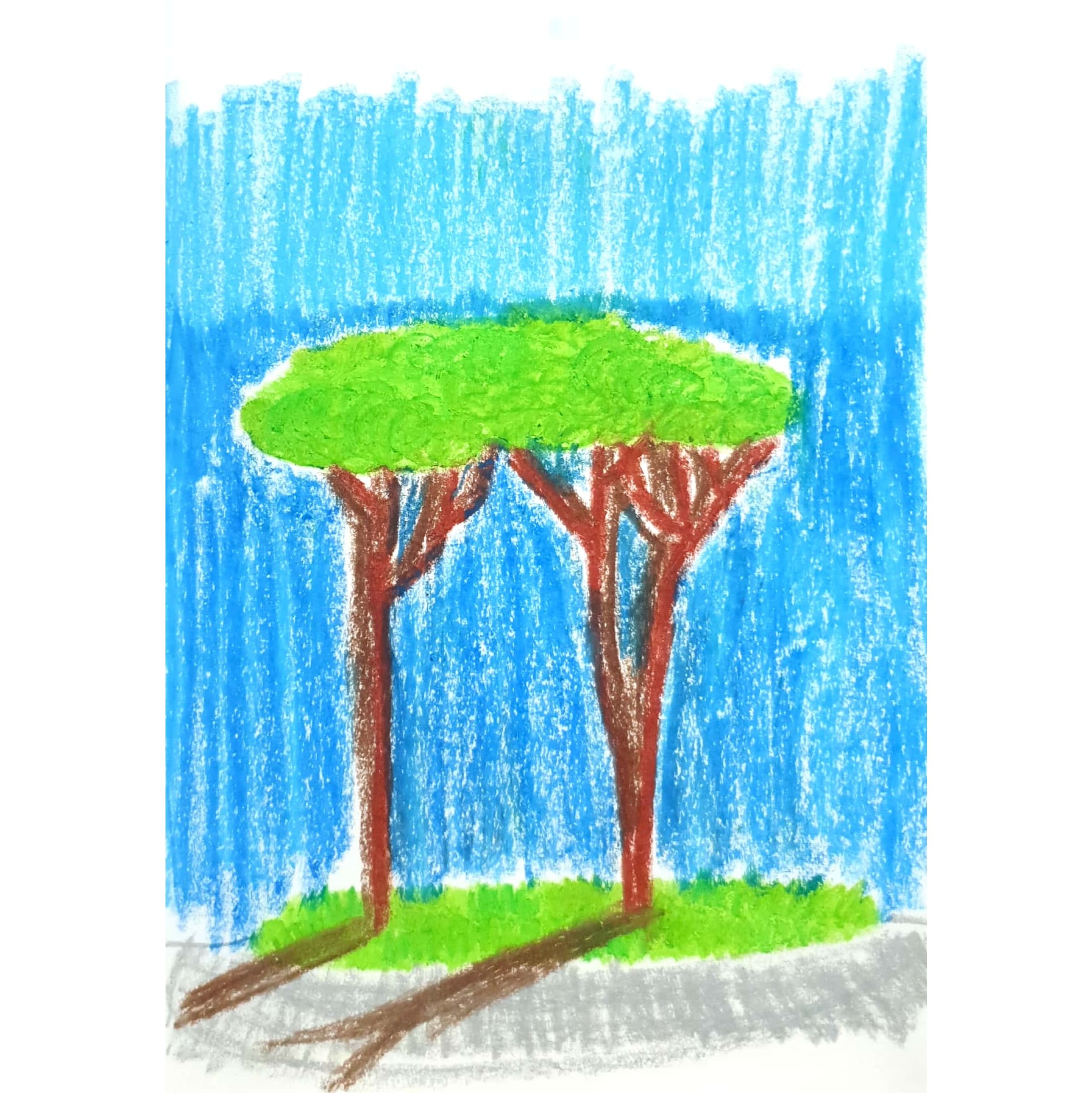  Trees 나무들 / 일러스트 그림 드로잉 / 식물화 그리기