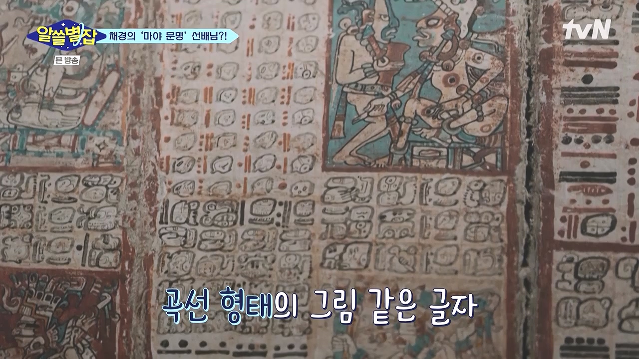 알쓸별잡.E05.230832p-NEXT.mp4_20230902_174757.295.jpg