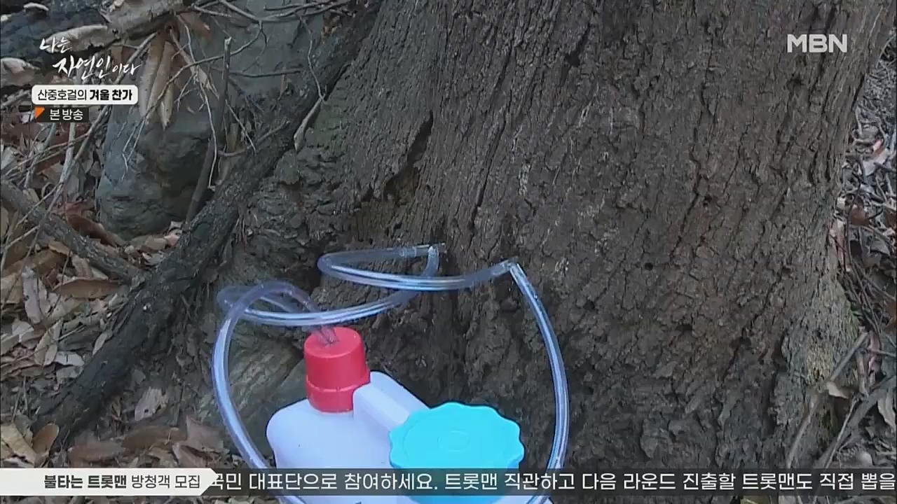 나는 자연인이다.E533.221222p.WANNA.mp4_20221222_194238.770.jpg