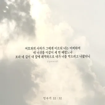 민수기 22장 발락과 발람 묵상_40