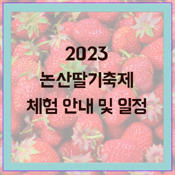 2023 논산딸기축제 일정 정리