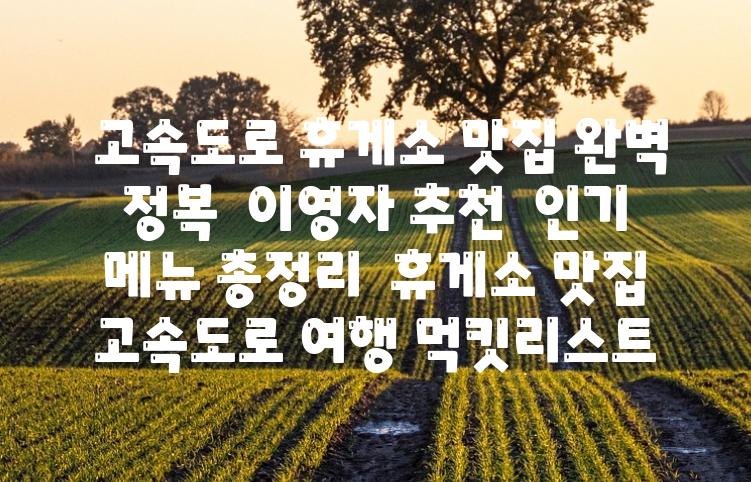  고속도로 휴게소 맛집 완벽 정복  이영자 추천  인기 메뉴 총정리  휴게소 맛집 고속도로 여행 먹킷리스트