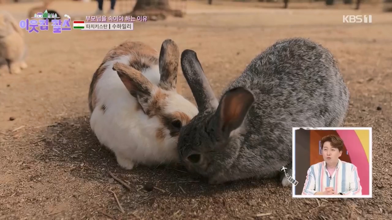 이웃집 찰스.E383.230419p.H264-F1RST.mp4_20230419_202139.483.jpg