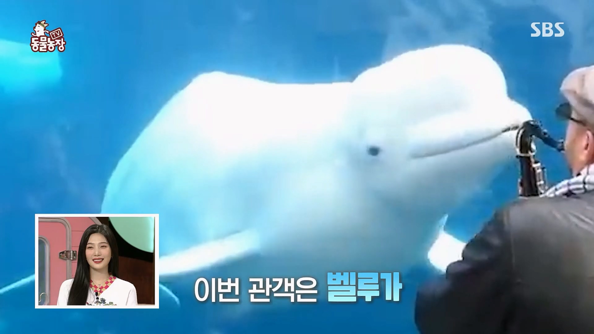 TV 동물농장.E1109.230219p.H264-F1RST.mp4_20230219_142816.823.jpg