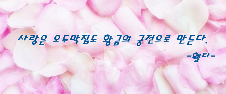 사랑 문장