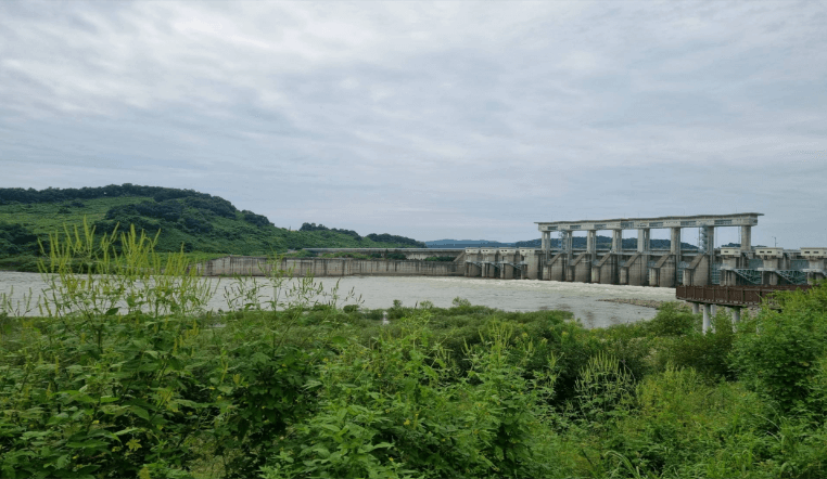 [코리아둘레길 DMZ 평화의 길 12코스] 자연과 역사가 어우러진 평화로운 여행 코스 완벽 가이드