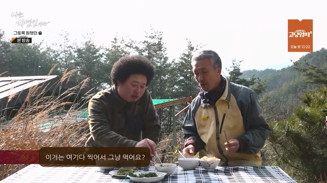 나는 자연인이다.E591.240132p-NEXT.mp4_20240201_195743.794.jpg