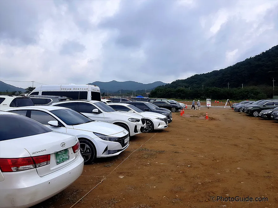 영광-불갑사-상사화-축제