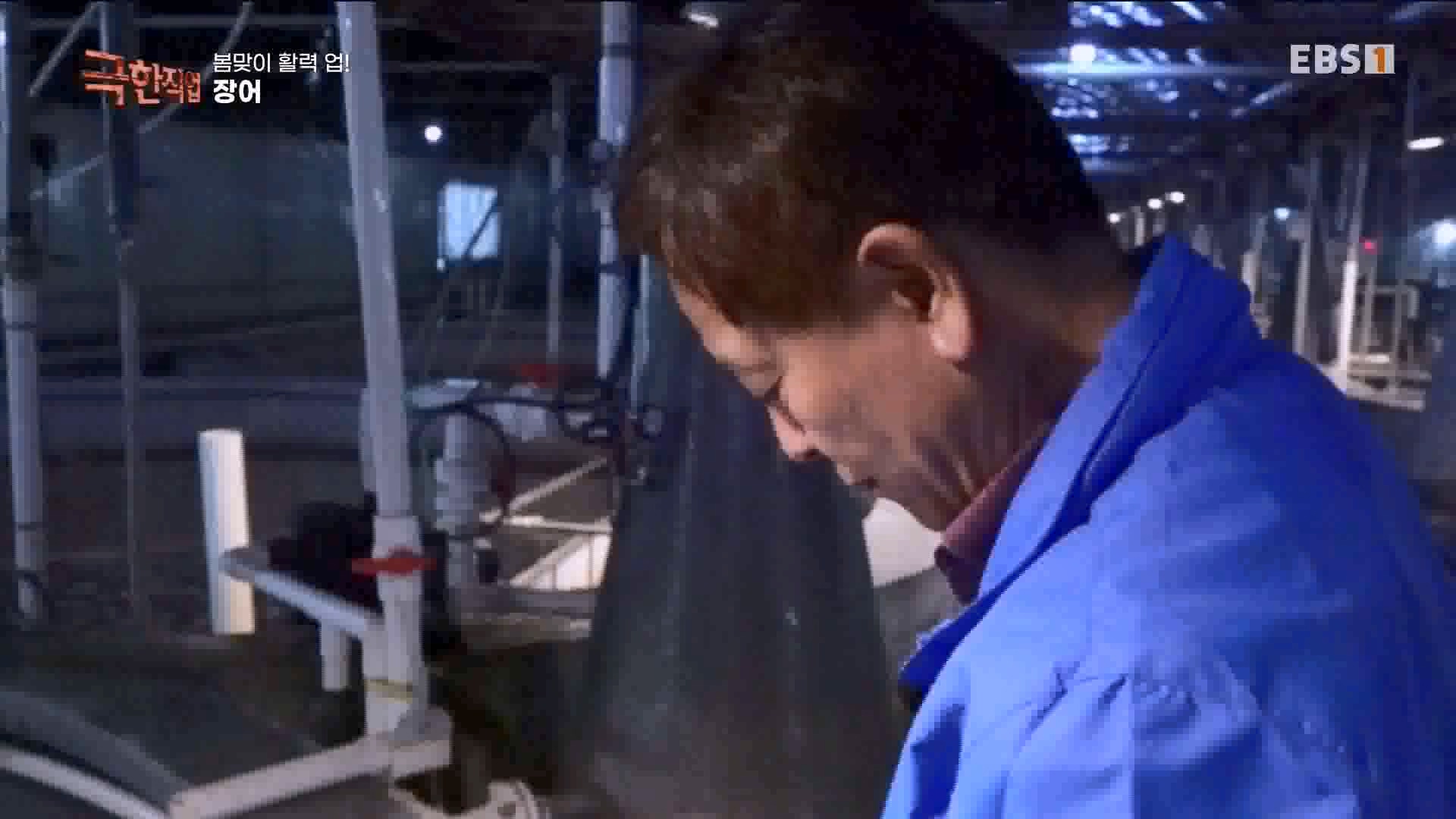 [극한 직업] 장어와 대왕문어 240316.mp4_20240317_153636.407.jpg
