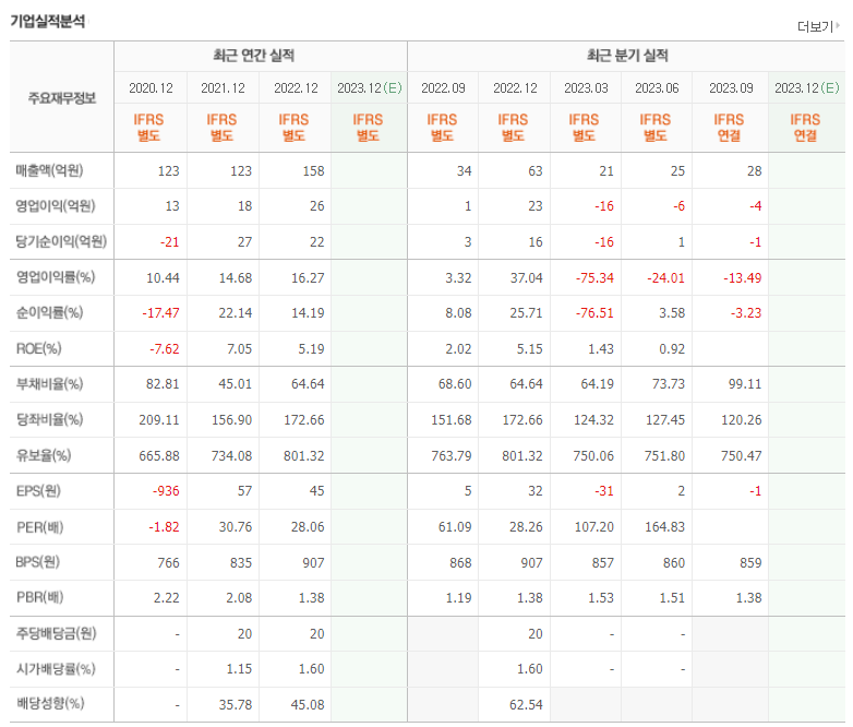 와이즈버즈 기업실적