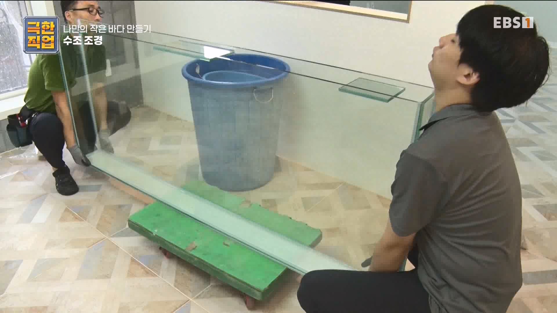 [극한 직업] 수조 조경.mp4_20230822_204222.602.jpg