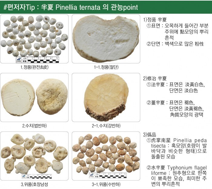 (주)평성 이미지