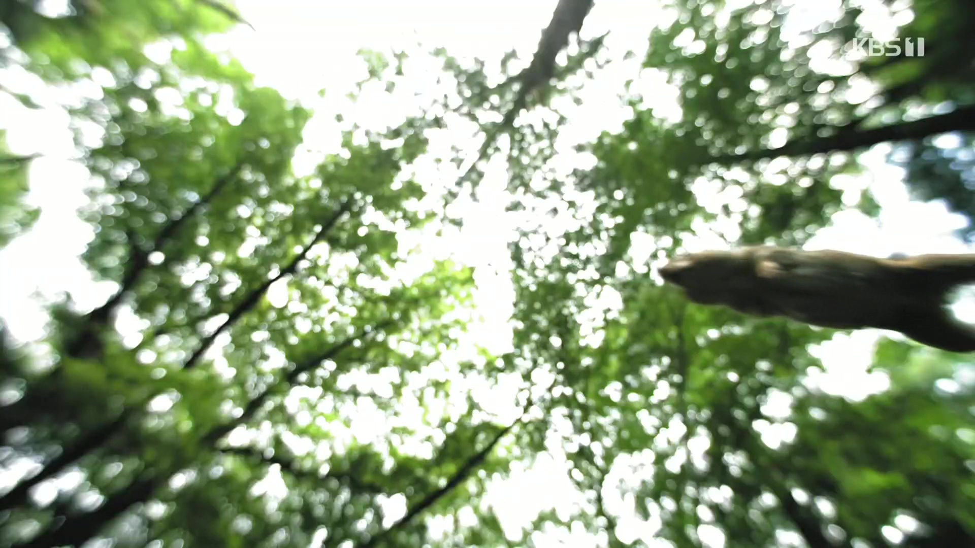 다큐 인사이트.E176.231214p.H264-F1RST.mp4_20231215_203135.096.jpg