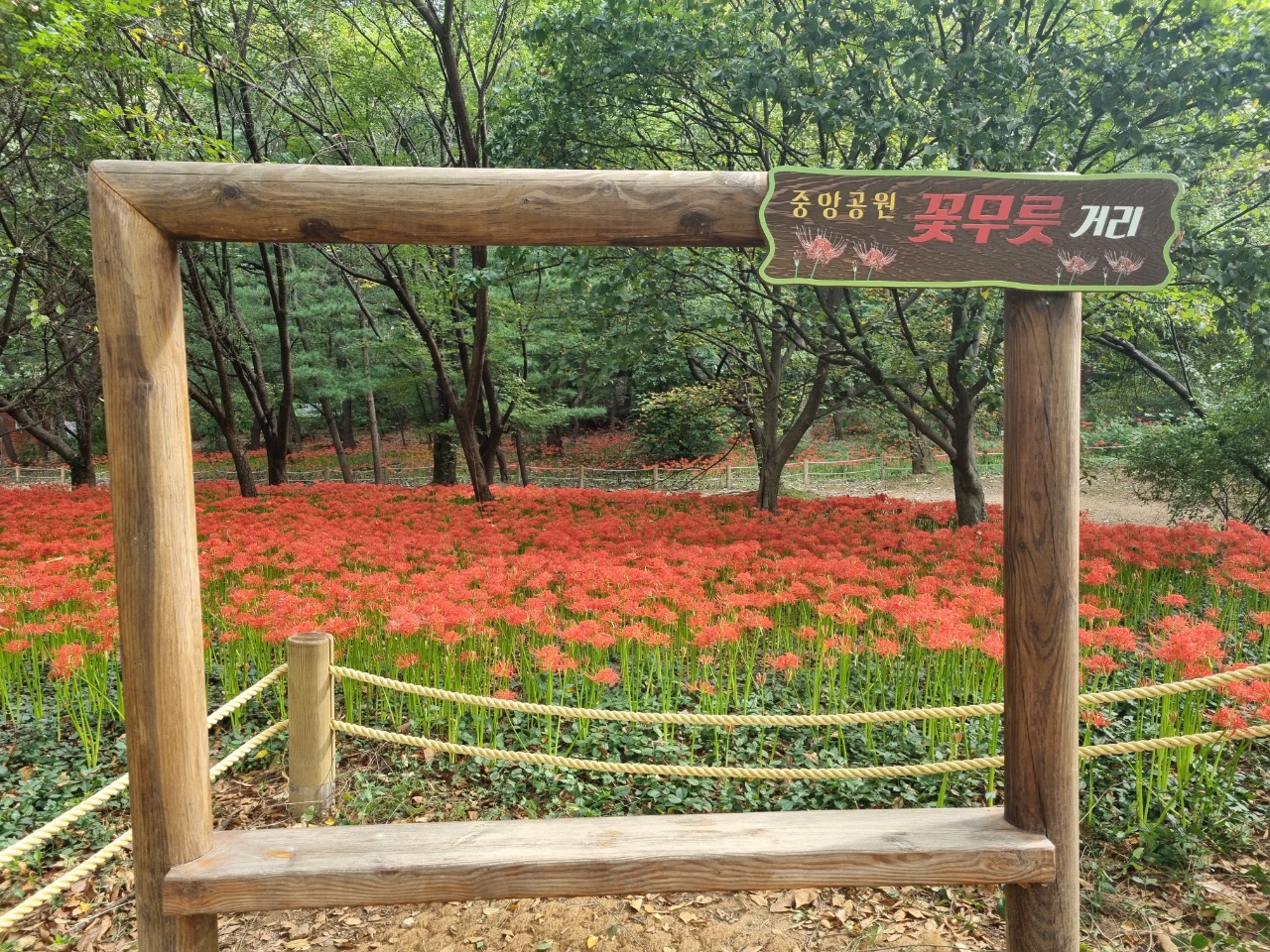  오랜만에 중앙공원으로 산책