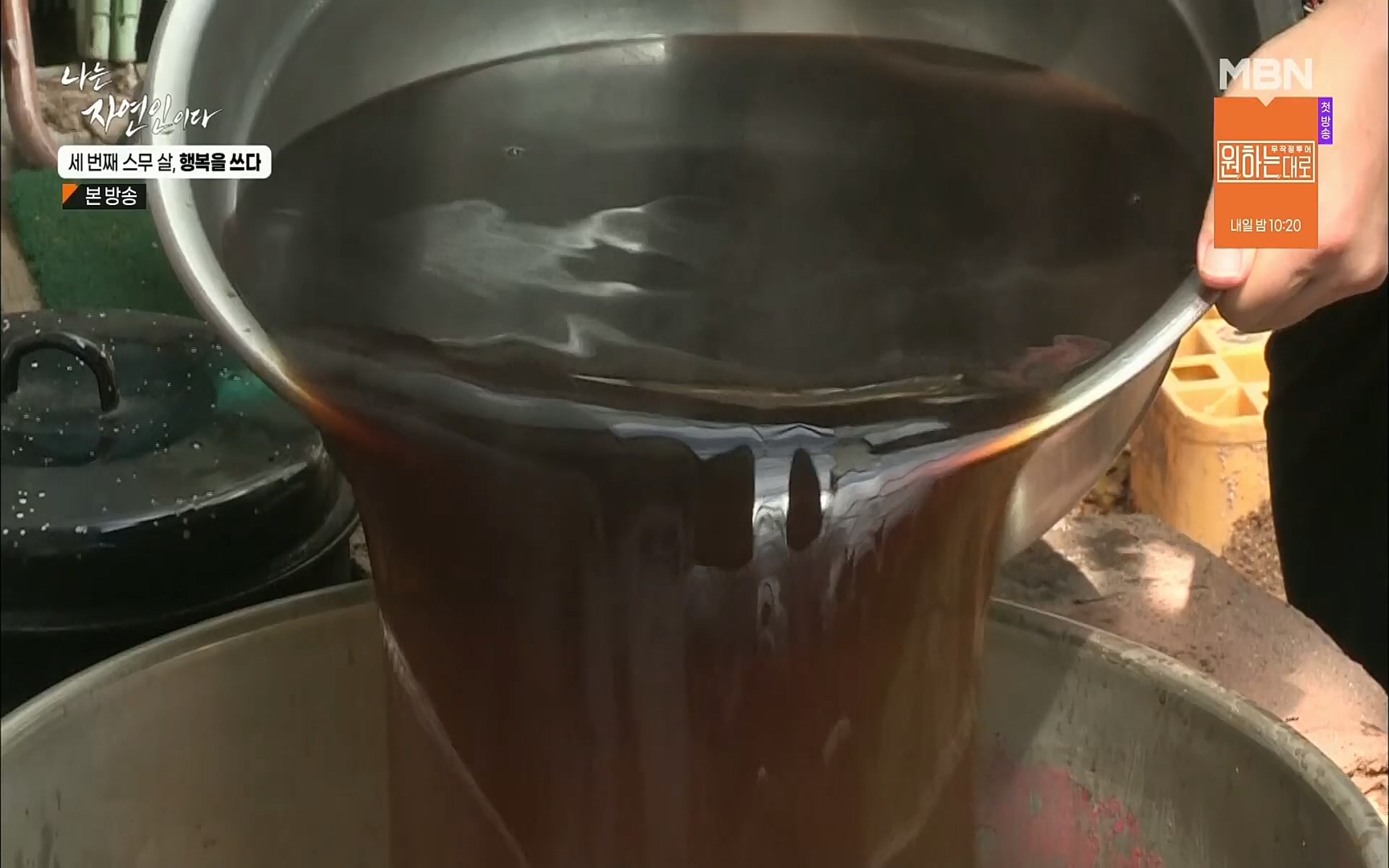 나는 자연인이다.E516.220824p.H264-F1RST.mp4_20220825_164135.924.jpg