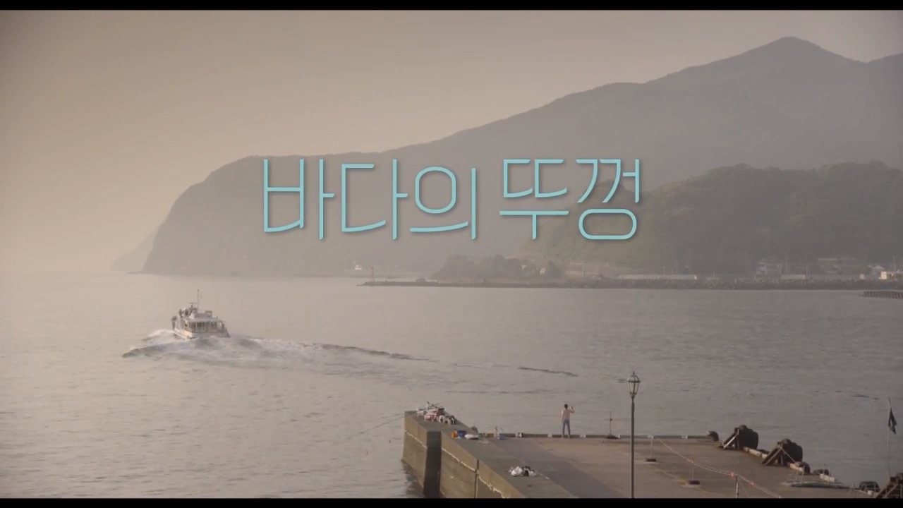  [영화 리뷰] 바다의 뚜껑 (海のふた, 2015)