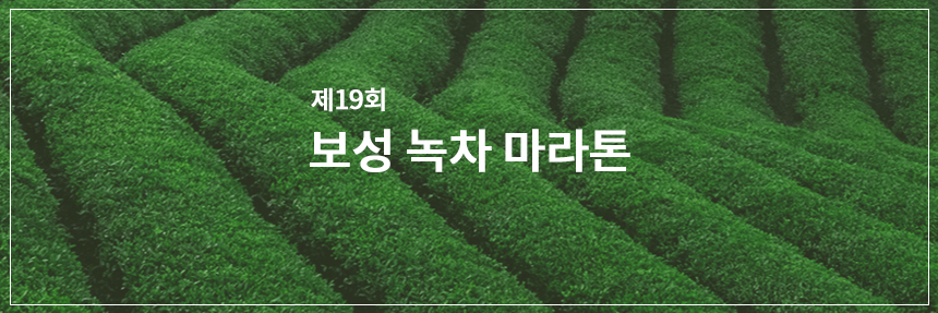 보성녹차마라톤