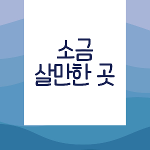 소금 제테크