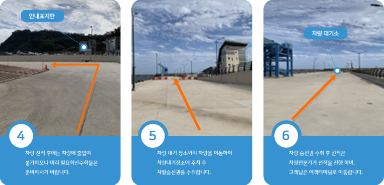 썬플라워 이미지