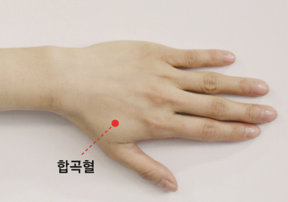 합곡혈