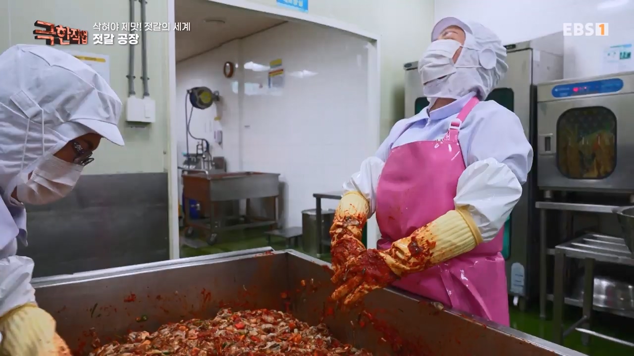 TV - 전 국민의 평생학교 EBS삭혀야 제맛! 젓갈의 세계.mp4_20231125_190846.739.jpg