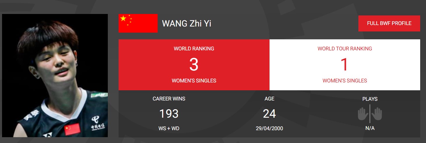 wangzyi-profile