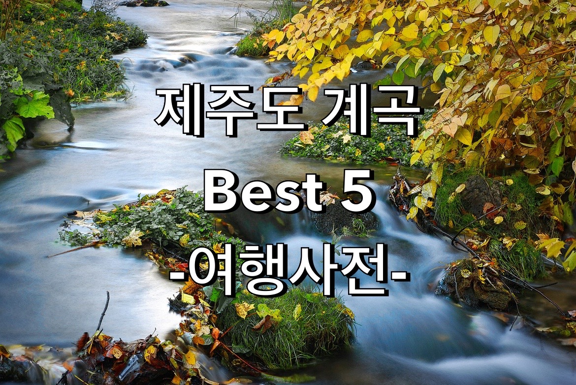  제주도 계곡 추천 Top 5
