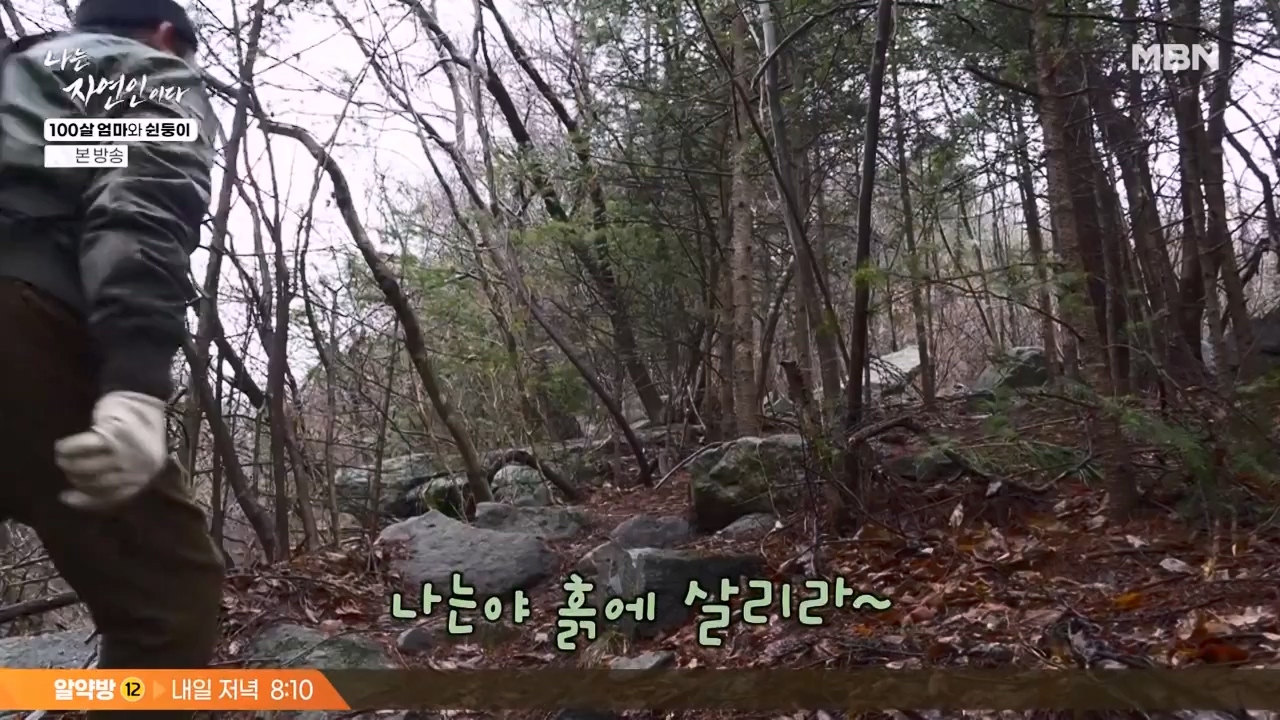 나는 자연인이다.E597.240314p-NEXT.mp4_20240314_195514.173.jpg