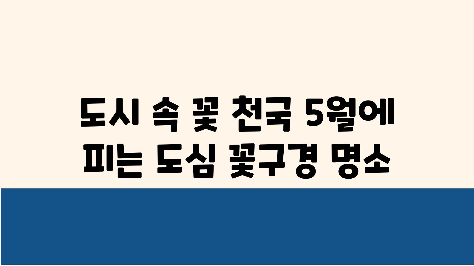 도시 속 꽃 천국 5월에 피는 도심 꽃구경 명소