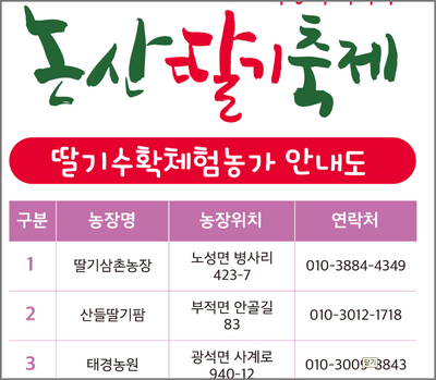 2025년 봄 축제 가볼 만한 곳 축제 일정