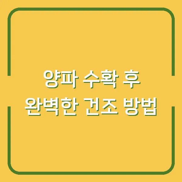 양파 수확 후 완벽한 건조 방법