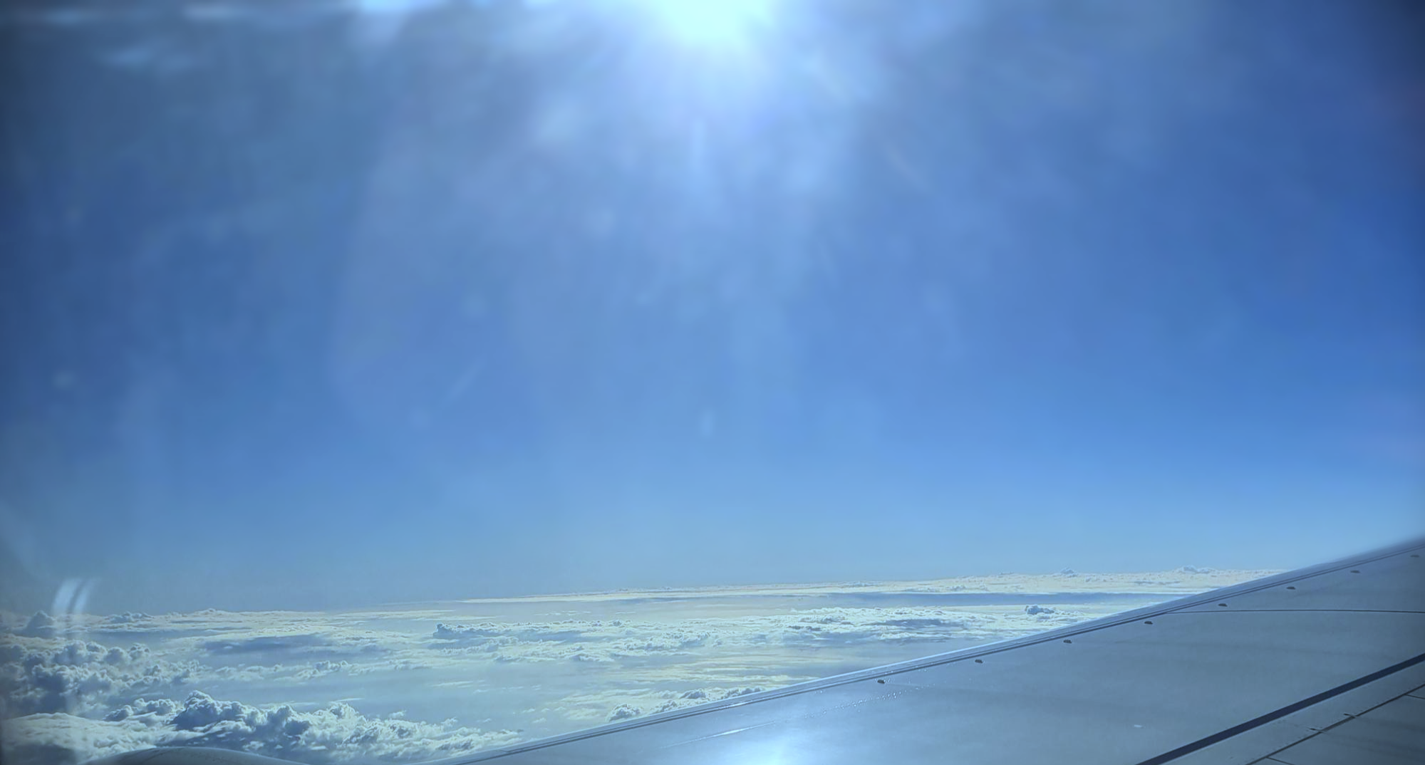  공부하다 죽기를