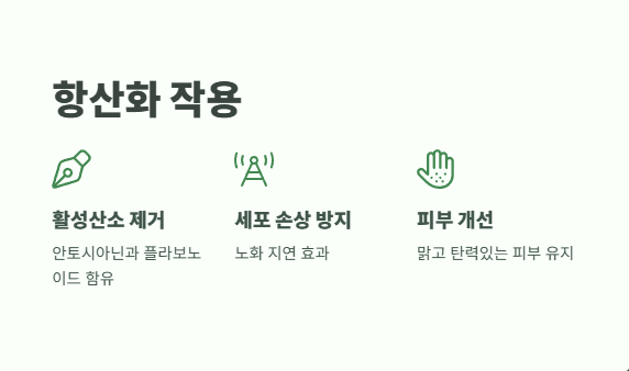 보리수 열매 효능 4