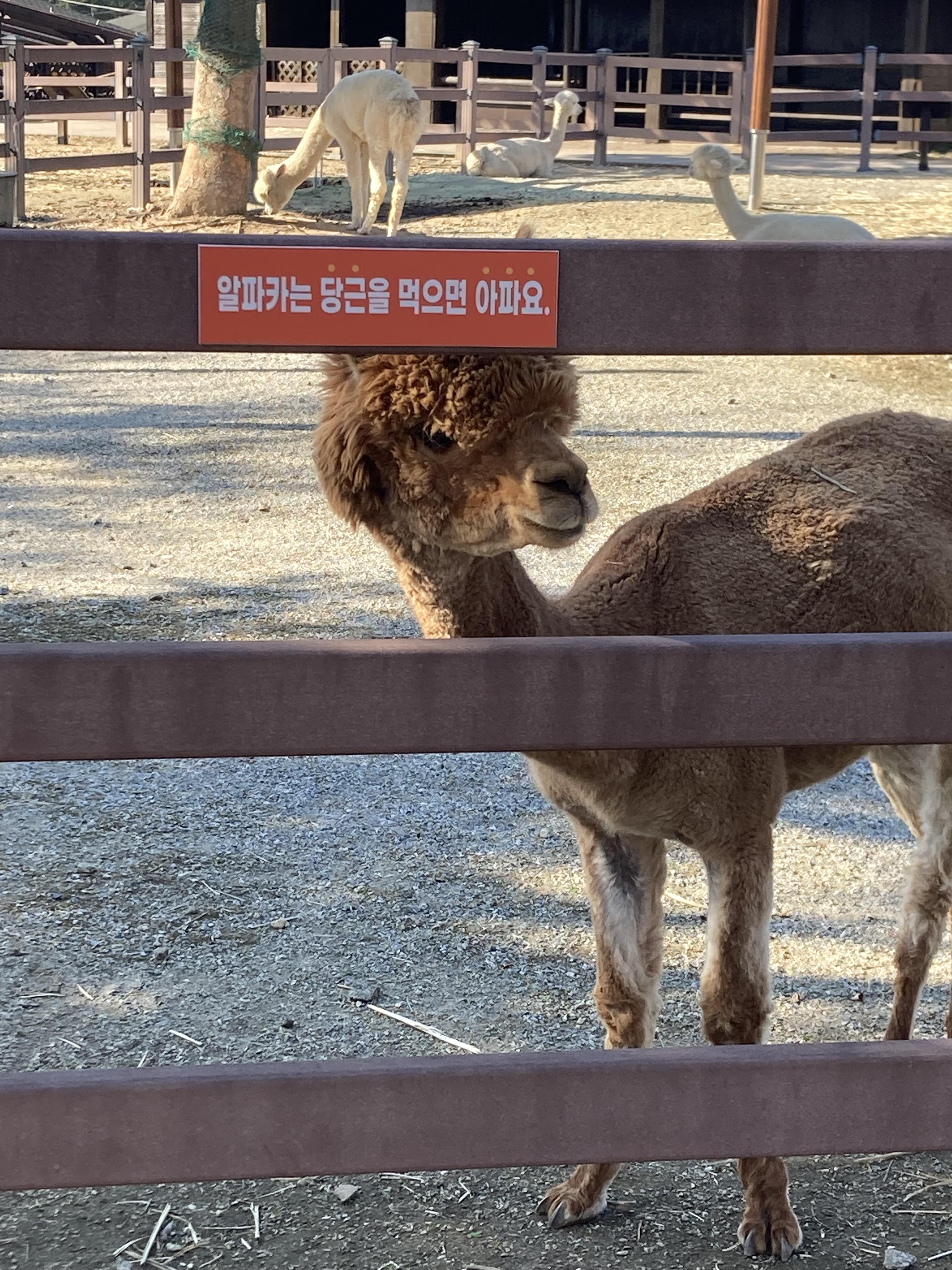 안성팜랜드